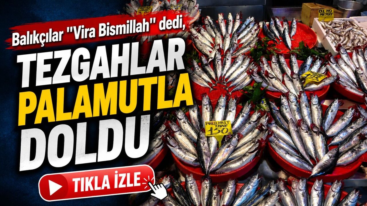 Karadeniz’den kasa kasa palamut çıktı: Trabzon’da fiyatlar belli oldu