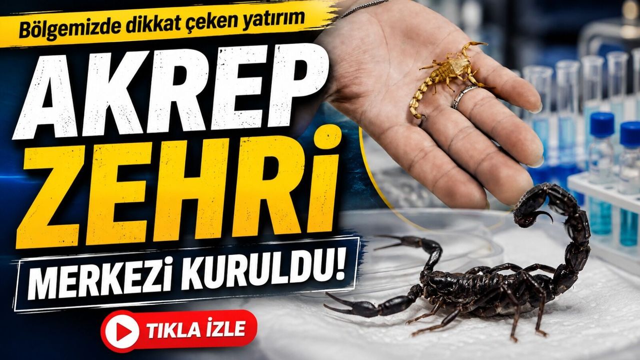 Bafra’da Dikkat Çeken Merkez: Akrep Zehri İçin AR-GE Başlıyor