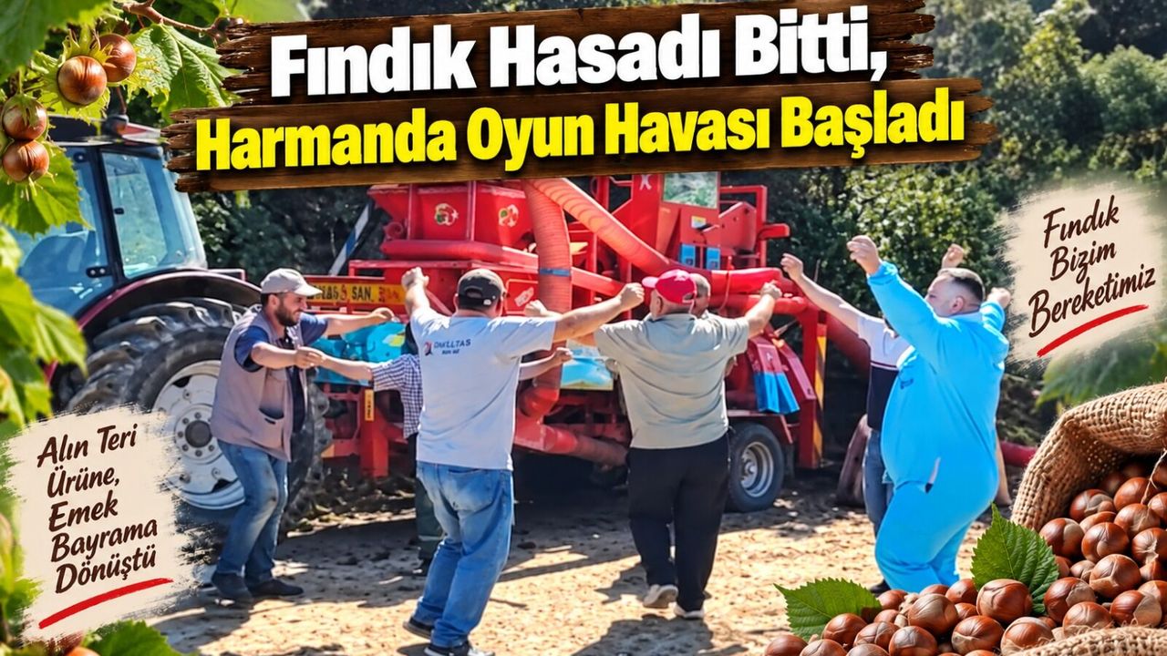 Ordu’da fındık hasadı oyun havasıyla sona erdi