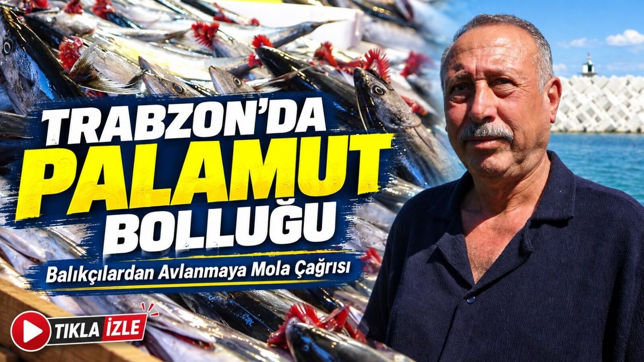 Trabzon’da Palamut Bolluğu Krize Döndü: Balıkçılardan Avlanmaya Mola Çağrısı