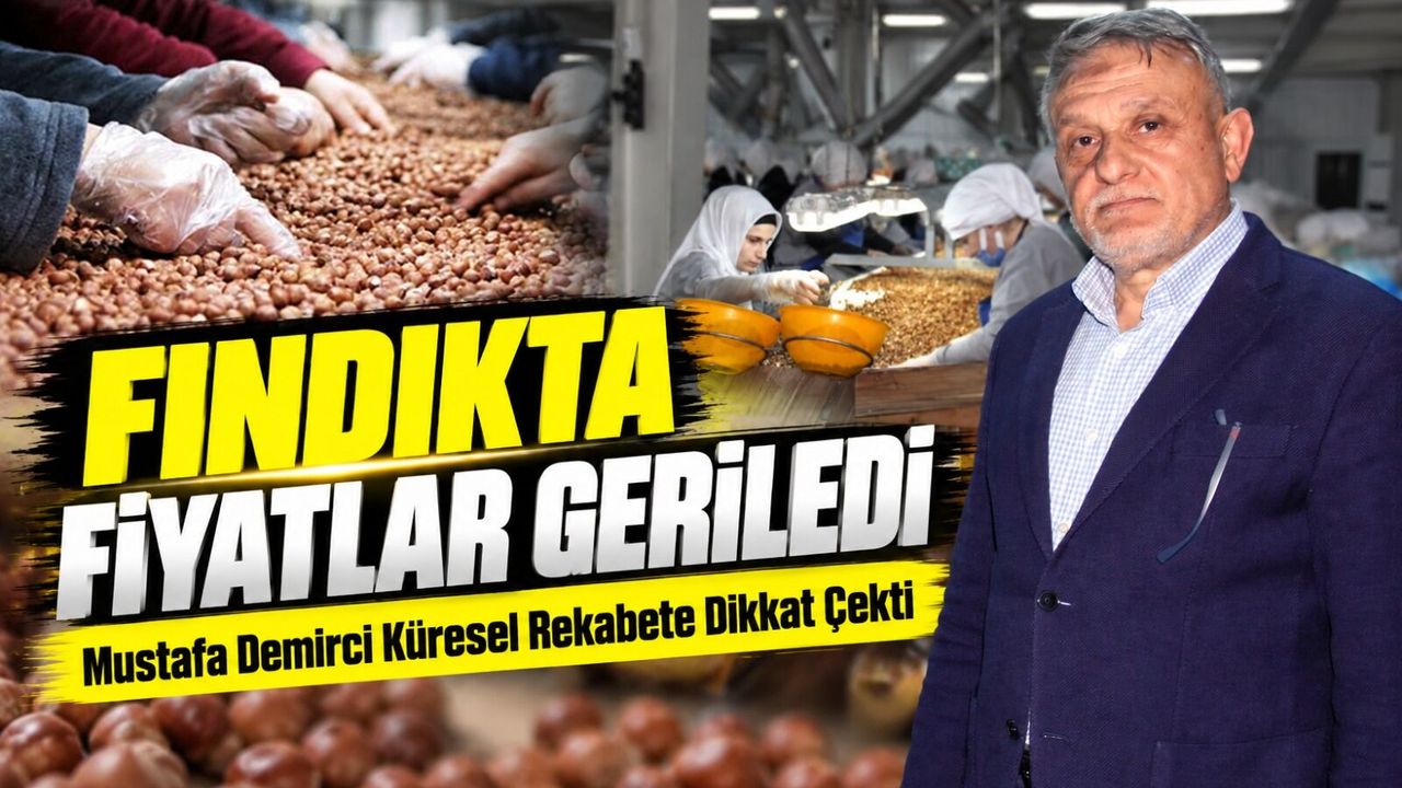 Fındıkta Fiyatlar Geriledi; Mustafa Demirci Küresel Rekabete Dikkat Çekti