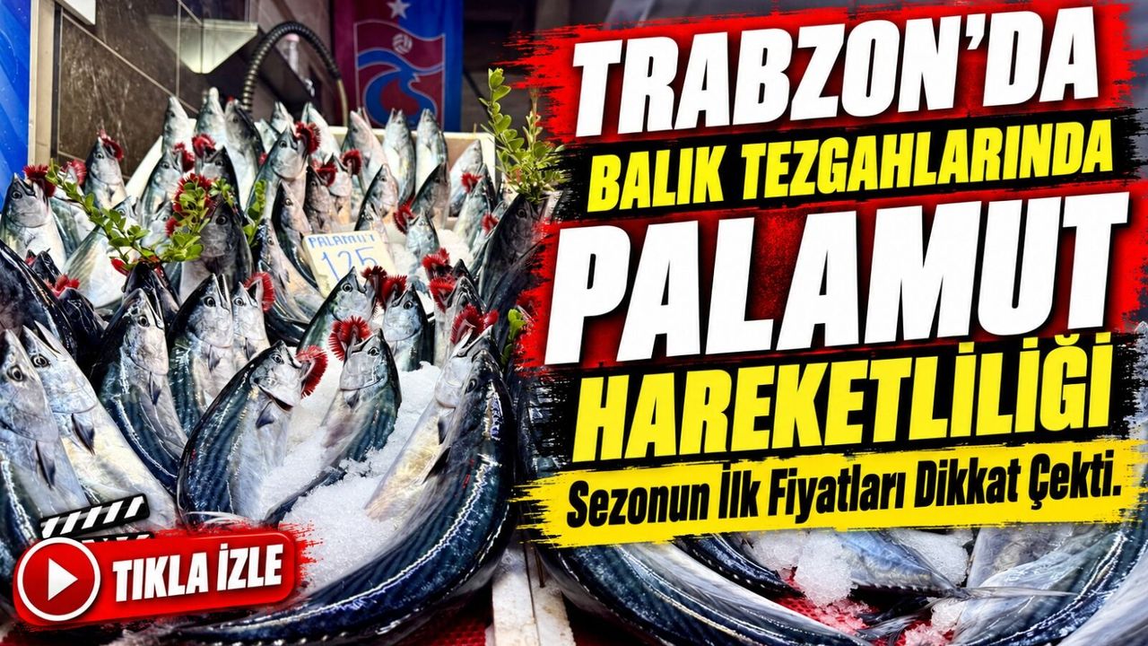 Trabzon’da Balık Tezgahlarında Palamut Hareketliliği; Sezonun İlk Fiyatları Dikkat Çekti