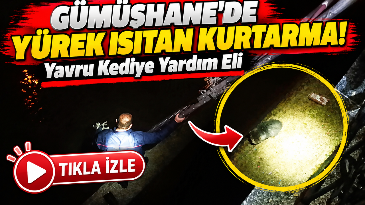 Gümüşhane'de Yavru Kedinin Yardımına Koştular! Kurtarma Mutlu Sonla Bitti