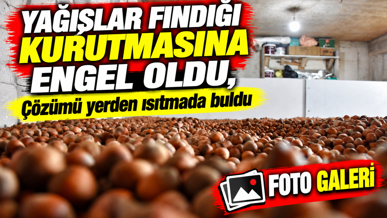 Karadenizli Üretici Yağışlar fındığı kurutmasına engel oldu, çözümü yerden ısıtmada buldu