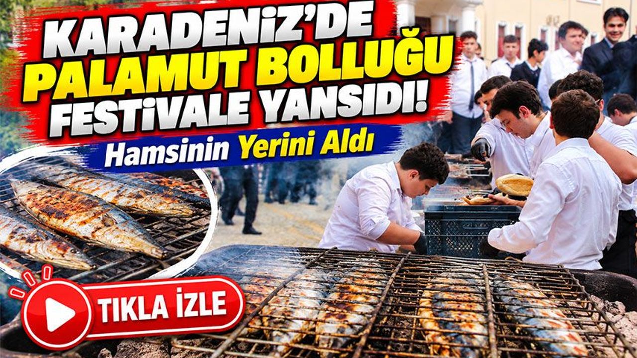 Karadeniz'de Palamut Bolluğu Festivale Yansıdı! Hamsinin Yerini Aldı