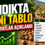 Fındık fiyatlarında makas açıldı: Bu şehirler de fındık fiyatları 300TL'ye ...
