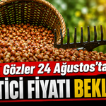 Fındık üreticisinin gözü 24 Ağustos’ta: TMO alımları başlıyor