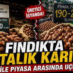 FINDIK PİYASASINDA SON DURUM: TMO FİYATLARI AÇIKLANDI, SERBEST PİYASA BELİRSİZ