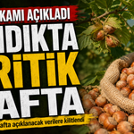 Çok Beklenen Fındık Fiyatları Açıklandı: Fındık Piyasasında Son Durum!