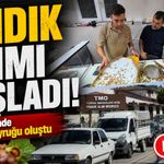 Fındık alımı başladı: TMO önünde araç kuyruğu oluştu