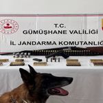 Kürtün’de Jandarma Baskını: Evden Ruhsatsız Silah ve Yüzlerce Fişek Çıktı