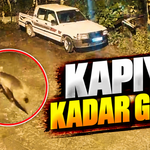 Arhavi’de Gece Yarısı Ayı Paniği: Evin Kapısına Kadar Geldi