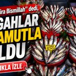 Karadeniz’den kasa kasa palamut çıktı: Trabzon’da fiyatlar belli oldu