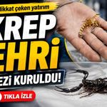 Bafra’da Dikkat Çeken Merkez: Akrep Zehri İçin AR-GE Başlıyor