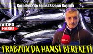 Trabzon’da Hamsi Bereketi: Fiyatlar Uygun, Tezgahlar Şenlendi!