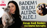 Trabzon'da Kayıp Kedisi İçin Seferber Oldu: Bulana Altın Hediye Etti!