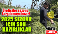 Rize’de Çay Üreticileri 2025 Sezonu İçin Sona Yaklaşıyor