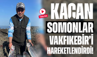 Kaçan Somonlar Vakfıkebir’i Hareketlendirdi! Oltaya Takıldılar, Efsane Av Yaşandı