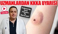 Doğu Karadeniz’de Kene Vakaları Azaldı: KKKA Bu Yıl Sakin Geçiyor