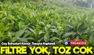ÇAYKUR Fabrikasının Bacasından Çıkan Kömür Tozu Çay Bahçelerini Kapladı