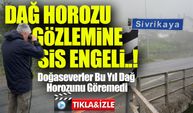 Dağ Horozu Gözlemine Sis Engeli: İkizdere’de 20. Şenlik Görüntüsüz Geçti