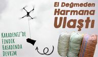 Karadeniz’de Fındık Hasadında Devrim: Üreticilerin Yükünü Dronlar Hafifletti!