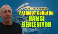 Palamut Görüldü, Hamsi Bekleniyor! Sezon Başlıyor...