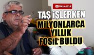 Taş İşlerken Milyonlarca Yıllık Böcek Fosili Buldu