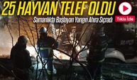 Ahırda Çıkan Yangında 25 Büyükbaş Hayvan Telef Oldu; Üretici Büyük Zarar Gördü