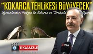 Uzmanlardan Trabzon’da Kokarca ve “Drakula” Uyarısı: "Tehlike Büyüyecek"