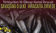 Savaş Devam Ediyor Ama Hamsi İhracatında Ukrayna Türkiye’nin En Büyük Pazarı Oldu