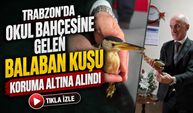 Trabzon’da Okul Bahçesine Gelen Balaban Kuşu Koruma Altına Alındı