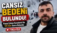Karadeniz'de Kayıp çoban 4 ay sonra bulundu: Çığ felaketinin acı bilançosu