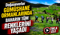 Doğaseverler Gümüşhane Ormanlarında Baharın Tüm Renklerini Yaşadı