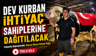 Trabzonlu Hayırseverden Bayram Öncesi Anlamlı Bağış; Dev Kurban İhtiyaç Sahiplerine Dağıtılacak