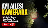Yürüyüş Yapan İki Arkadaş Ayı Ailesiyle Karşılaştı; Ayı Ailesi Kamerada