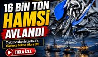 Karadeniz’de Hamsi Bereketi: Kırklareli Açıklarında 16 Bin Ton Avlandı