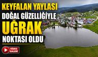 Ordu’nun 1200 Rakımlı Keyfalan Yaylası Yaz Sezonunda Ziyaretçilerini Ağırlıyor