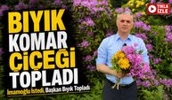İmamoğlu İstedi, Başkan Bıyık Yaylaya Çıktı: Komar Çiçekleri İstanbul Yolunda