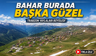 Trabzon Yaylaları Bahar Renkleriyle Büyüledi: Karlı Zirveler Ziyaretçileri Kendine Hayran Bıraktı