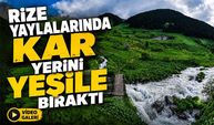 Rize Yaylalarında Beyaz Örtü Kalktı, Doğa Yeniden Yeşile Büründü