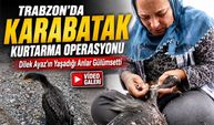 Trabzon’da Yaralı Karabatak Kurtarma Operasyonu Gülümsetti