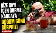Rize Çayı İçen Gurme Karganın Üçüncü Yaşı Pasta Kesilerek Kutlandı