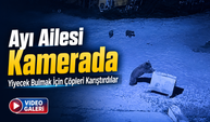 Rize’de Ayı Ailesinin Çöp Konteyneriyle Oyunu Kamerada