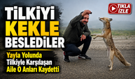 Bayburt’ta Yayla Yolunda Karşılaştıkları Tilkiyi Kekle Beslediler