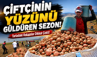 Amasya'da Patates Hasadı Başladı! 130 Bin Ton Rekolte Beklenirken Sanayilik Üretim Dikkat Çekti