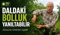 Giresunlu Üreticiler Uyardı: "Fındıkta Daldaki Bolluk Yanıltabilir"