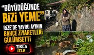 Rize’de Yavru Ayının Bahçe Ziyaretleri Gülümsetti; “Büyüdüğünde Bizi Yeme”