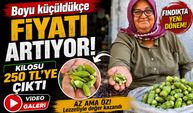 Boyu küçüldükçe fiyatı artıyor: Kilosu 250 TL’ye çıktı