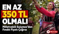 Yeni Parti'li Trabzon Milletvekili Sibel Suiçmez’den Fındık Fiyatı Çağrısı: “en Az 350 Tl Olmalı”
